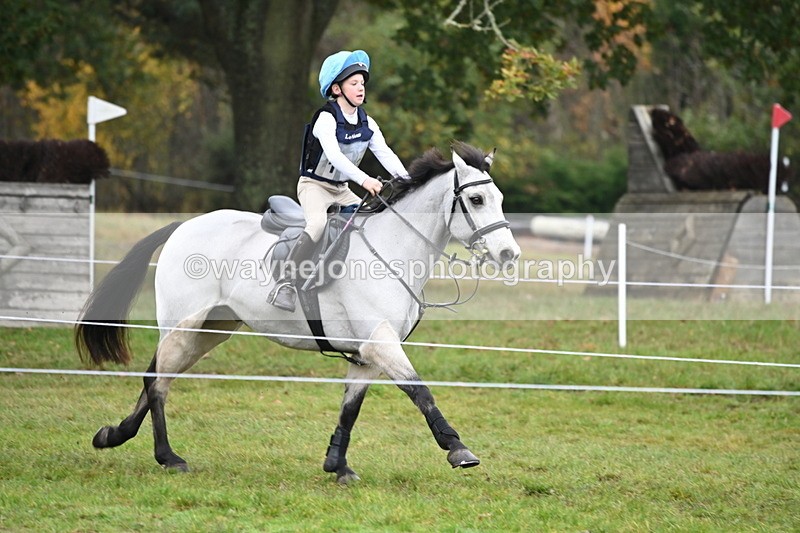 WJ6_2236 - 80cm Cam 1 Time 10:47 to 11:22