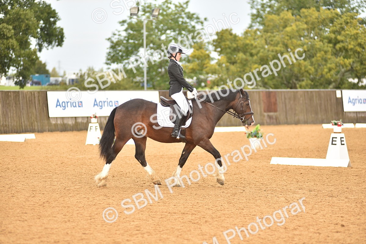 SBM_02142 - D7 - Small Tour Championship Prelim 2