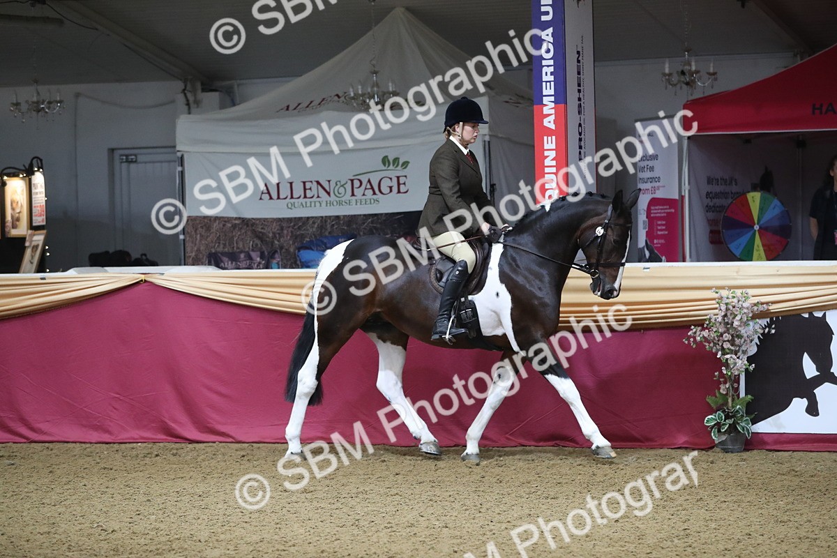 SBM_10311 - Class 102 Equitation (best rider) Adult