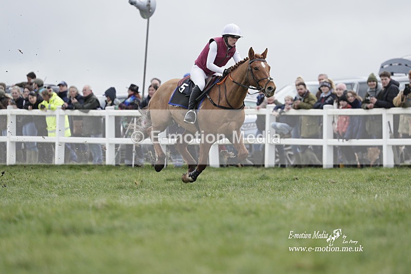 PtP 260323 0263 - New Forest Hounds Point-to-Point Larkhill 26/03/23