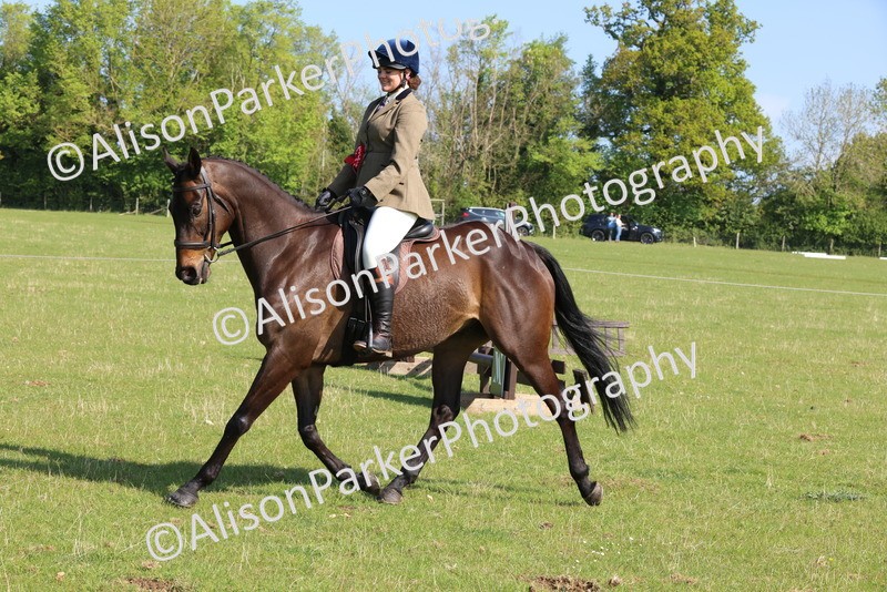 20250427-0599 - Class 17 - Novice Showing