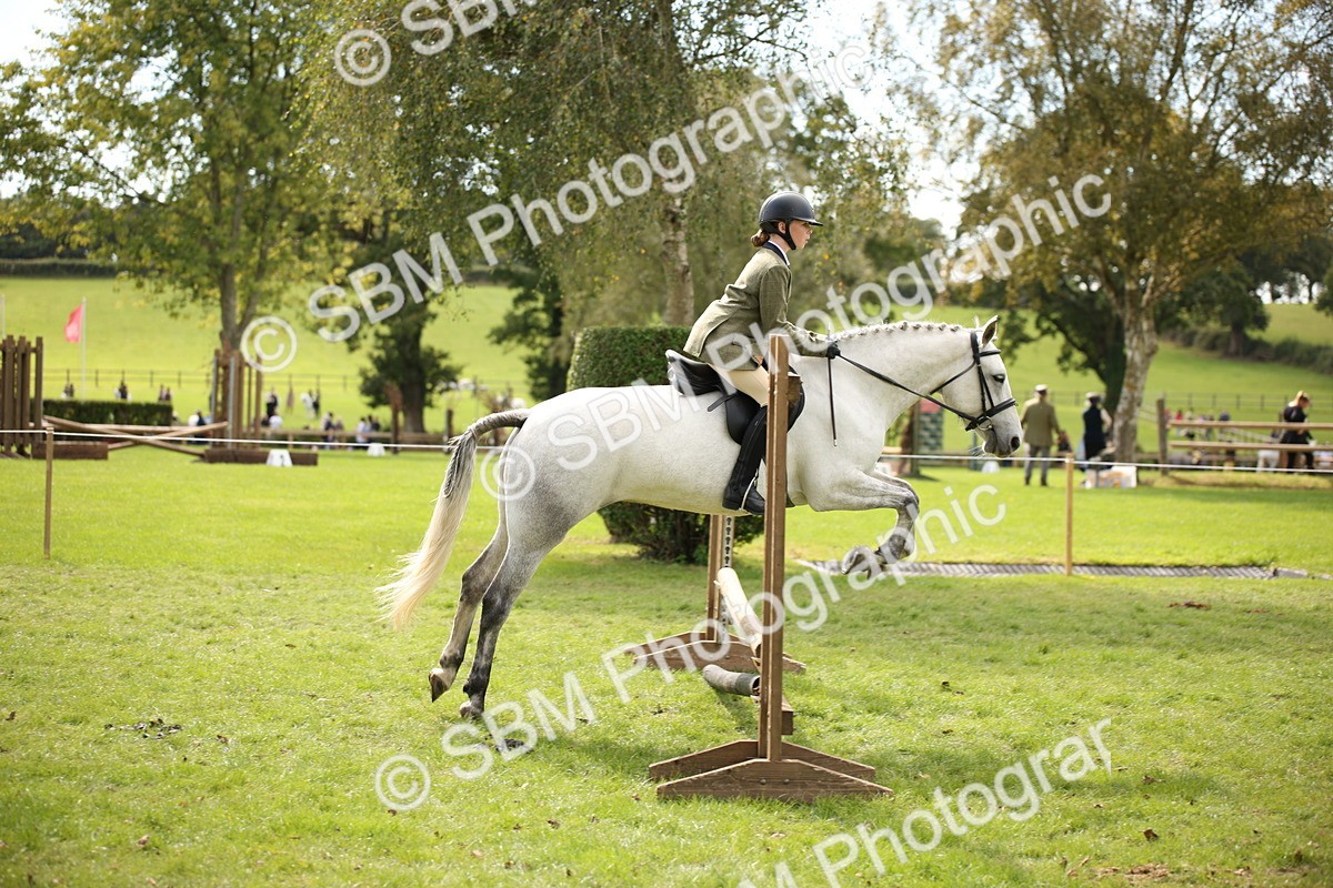 SBM_42325 - S13 - Pony Club Pony