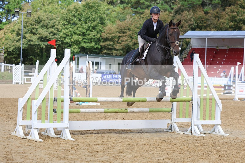 3E7A9121 - Class 9: Senior British Novice/90cm open