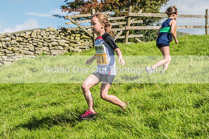 Loweswater Show-73 - Loweswater Show Junior & Senior Fell Races Sunday 3rd September 2023