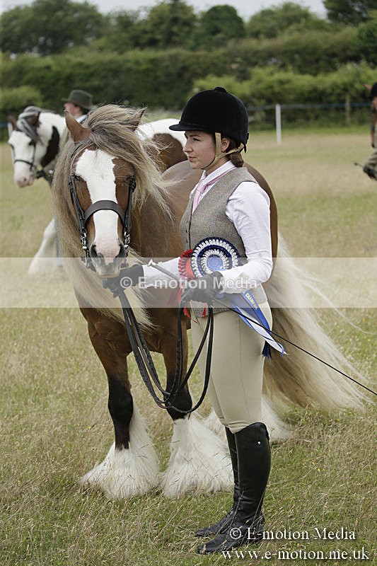 B230619-0858 - Bourne Valley Riding Club Summer Show 23/06/19