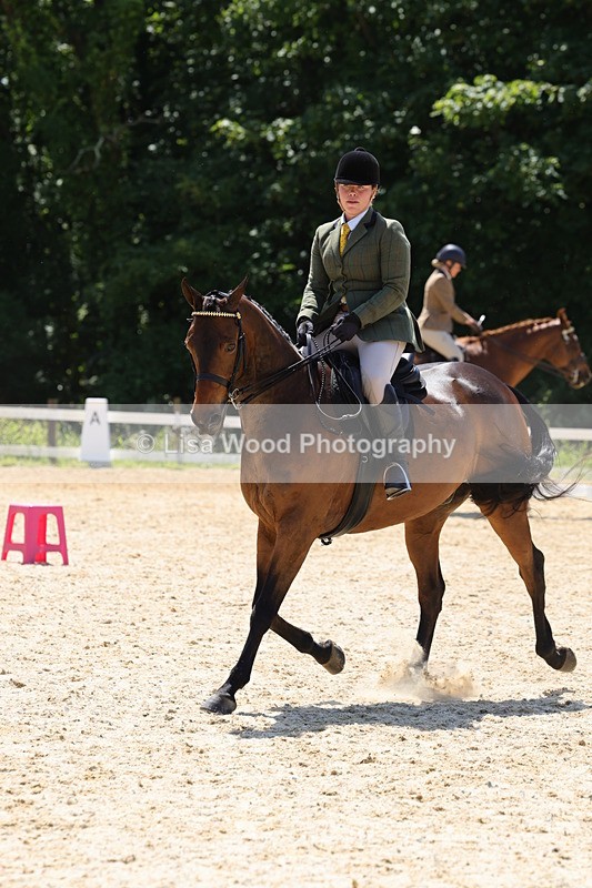 1X9A1872 - Class 12: Ridden Riding Horse/Hack