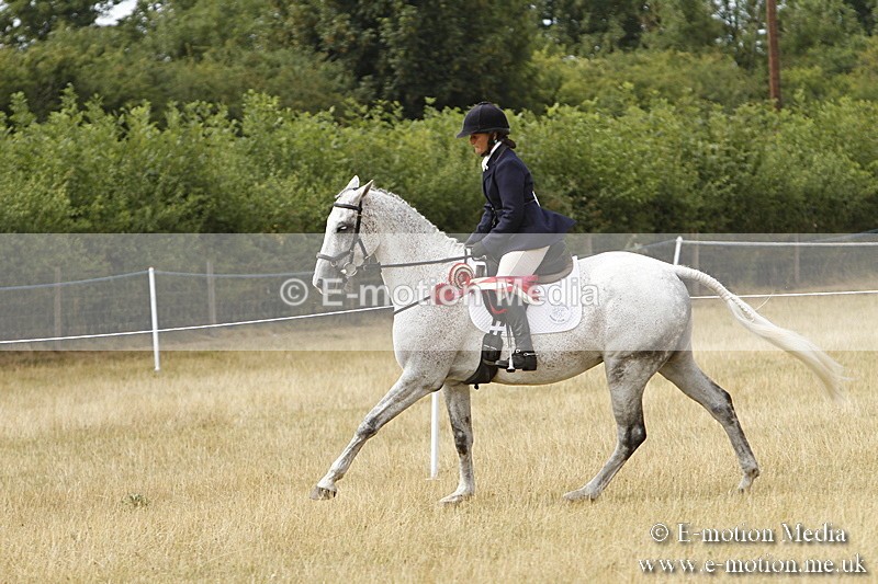 _BS_1032 - Working Hunter Championship BVRC Show 2018