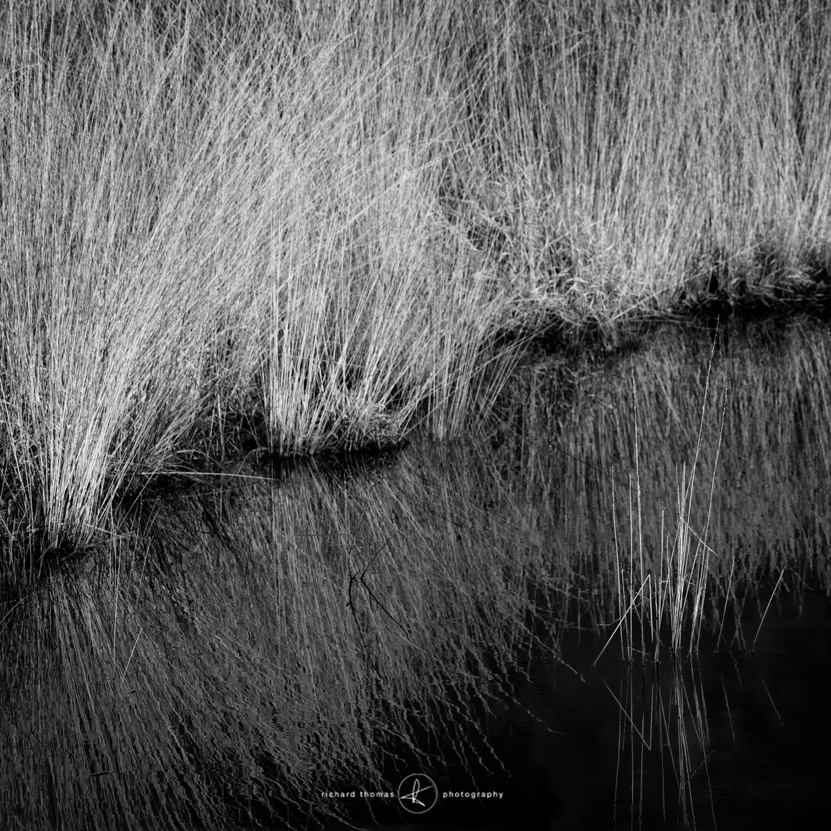Cornered - Mono Squares