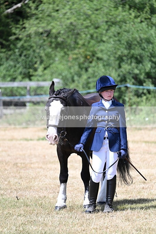 WJ7_2173 - Class 5 Most Handsome Gelding (up to 14.2hh) in hand