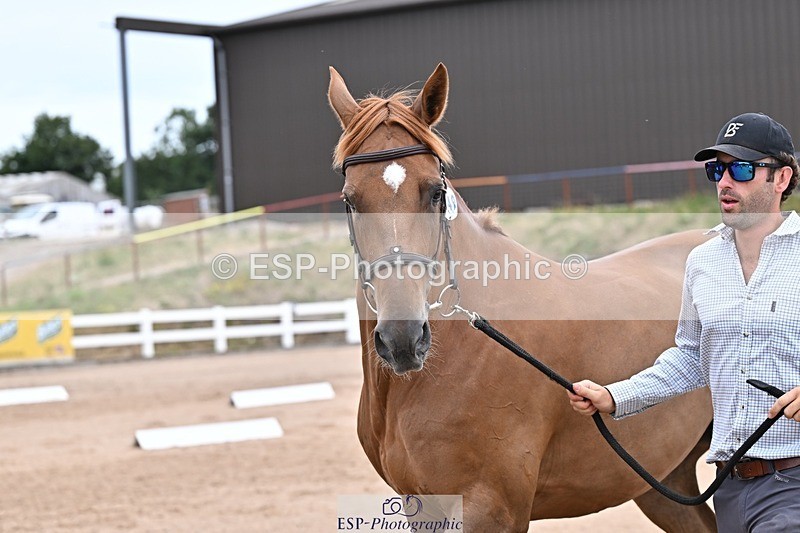 250716-134158-00646 - Trot Up 1.30 to 2.30