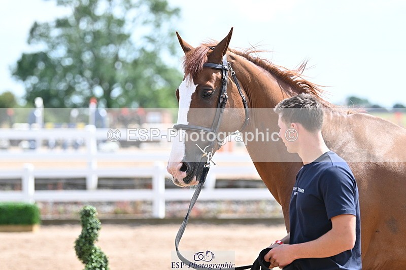 240717A-145902-02398 - Trot Up 2pm to 3pm - This folder is not in time order