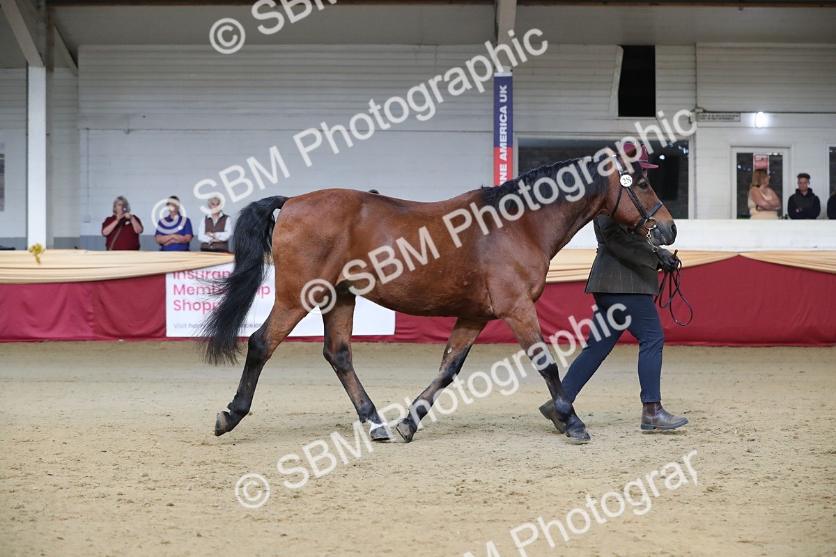 SBM_00308 - Class 1a - Area IH Diamond