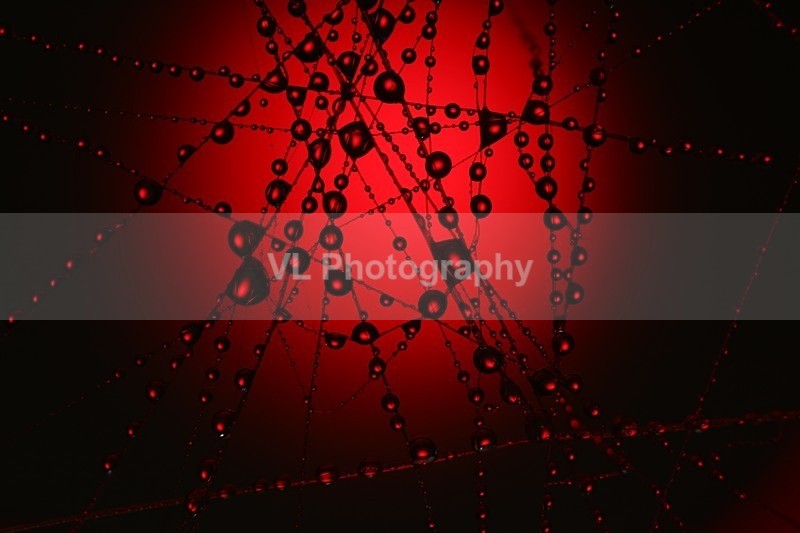Red - Other