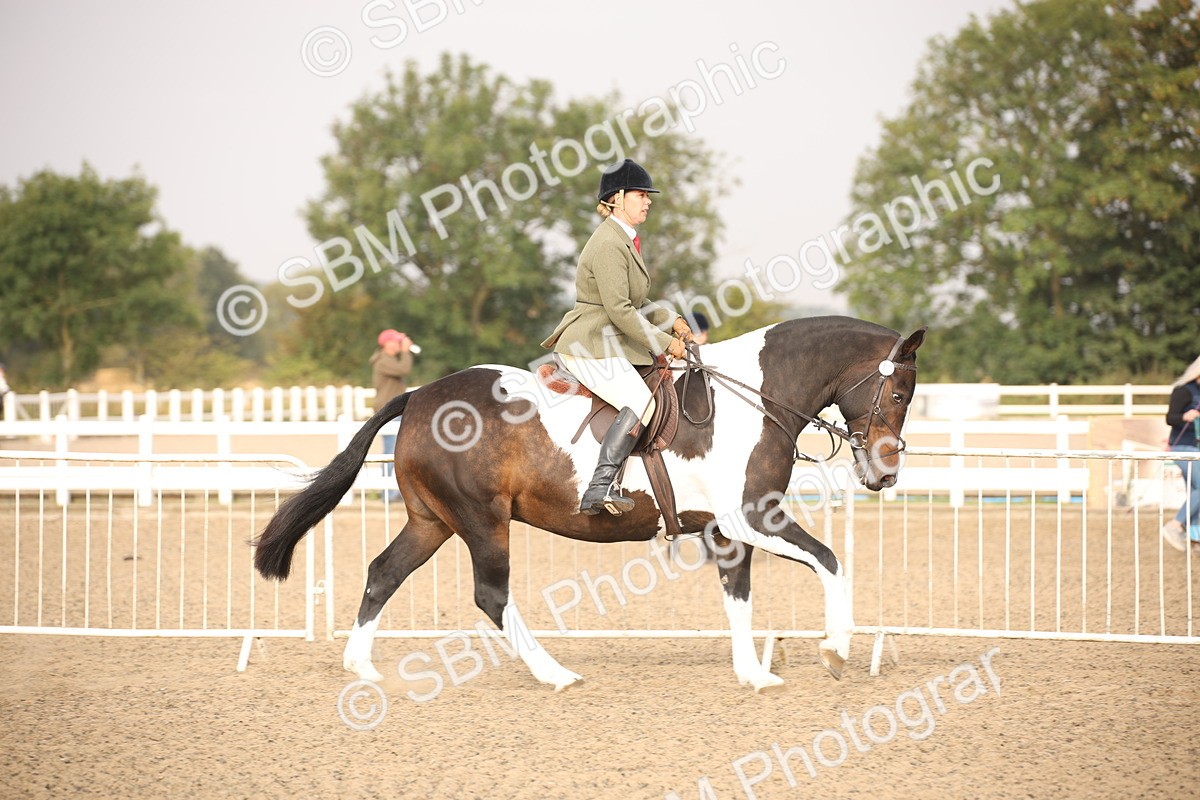 SBM_10214 - Class 402 Riding Club Horse
