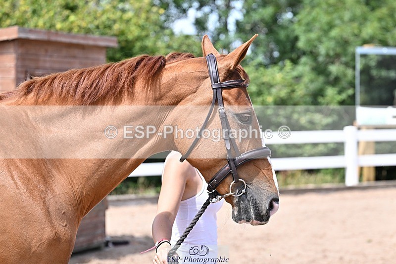 250716-124744-00168 - Trot Up 12.30 to 1.30