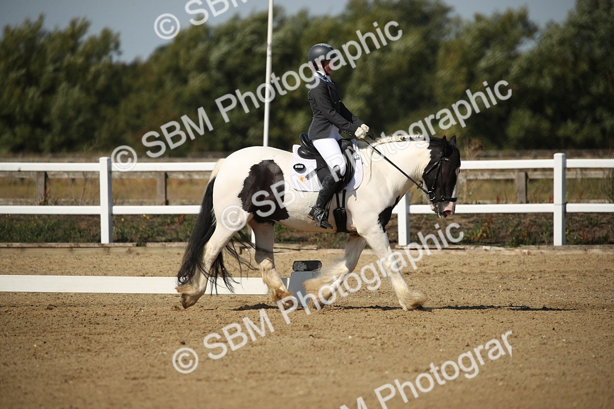 SBM_004177 - Class 11 - Novice 5 - 10.24-11.20
