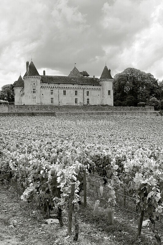  - Vineyards & Vines / Weinberge & Reben