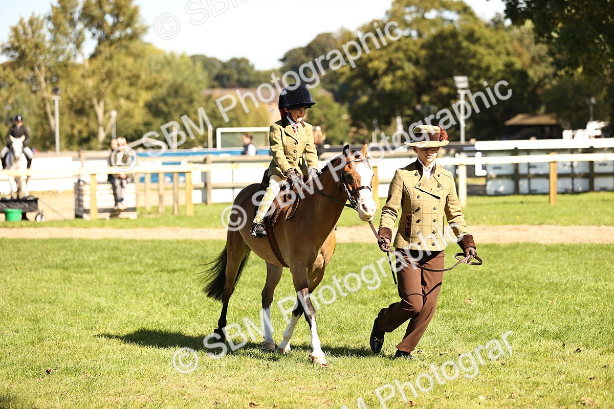 SBM_19292 - S3 - TSR Ridden Pony Showing