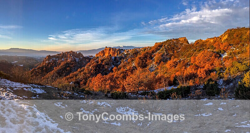 Landscape - Rohzen  91901-4191 - Around the Reflection Pool