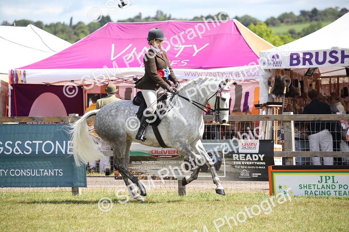 SBM_13349 - Class 95-96 - LIHS BSHA Rising Star Hack Riding Horse