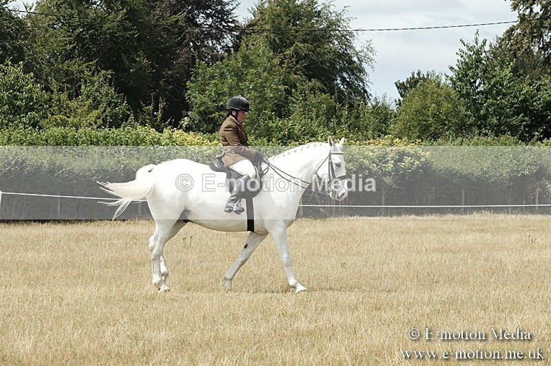 _PJP5999 - BVRC Show 2018 Ring 1