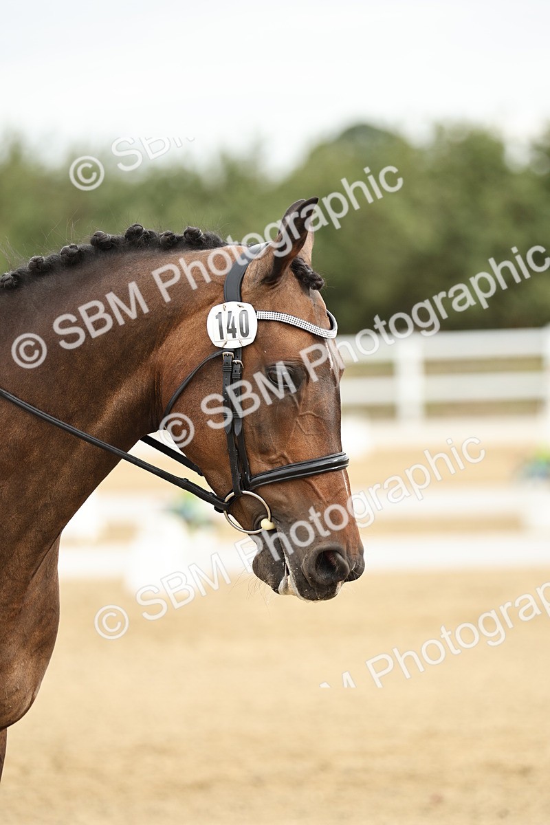 SBM_006575 - Class 21 - Medium 5 Bronze - 9.08-9.48