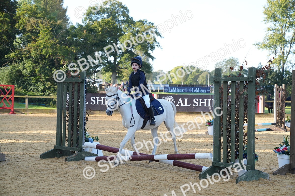 SBM_59015 - J63 - Minis Clear Round 30cm 40cm