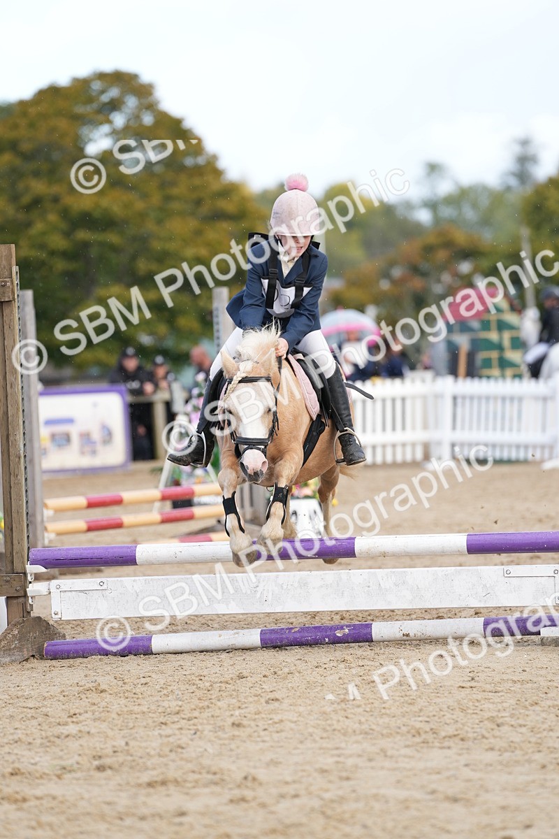 SBM_21147 - J49 - Open 50cm