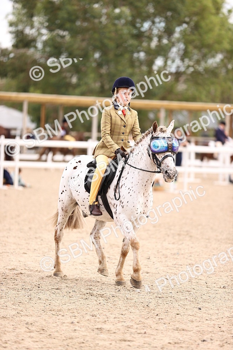 SBM_18066 - Class 422 - Equitation (Best Rider) Jnr