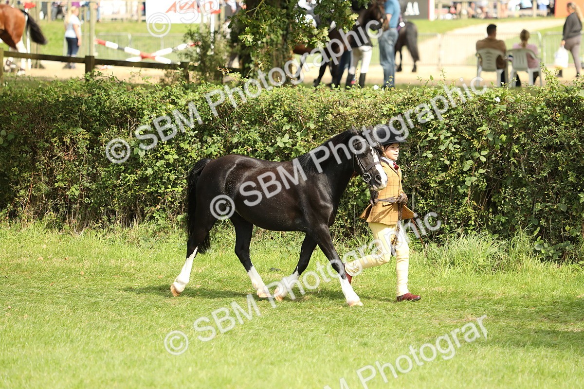 SBM_67732 - S39 - Junior Handler 8  Years & Under