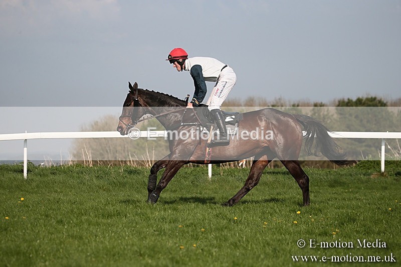 PtP 210418 568 - South & West Wilts Point-to-Point Larkhill 21/04/18