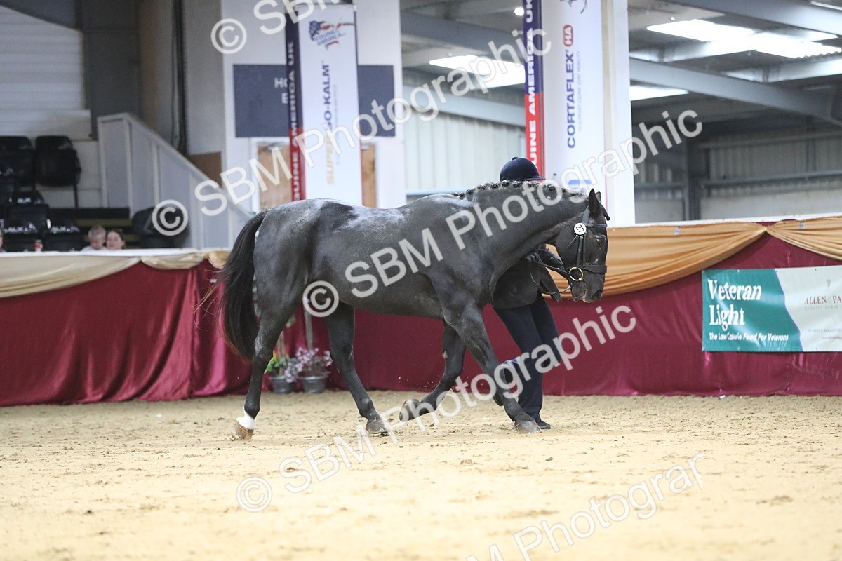 SBM_04359 - Class 7R Regional - IH Diamond