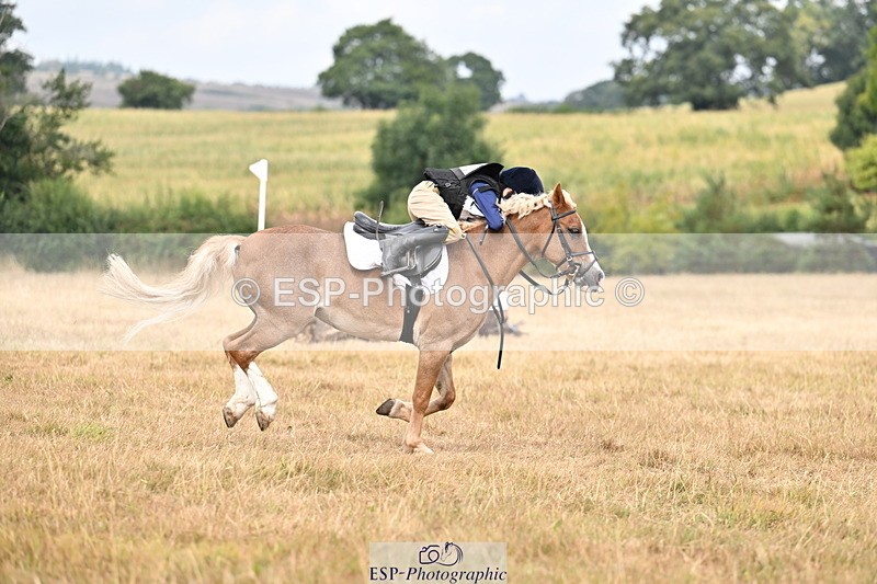 250824A-122750-36111 - 2028-Harry.Honeyball-Sardis.Cassius