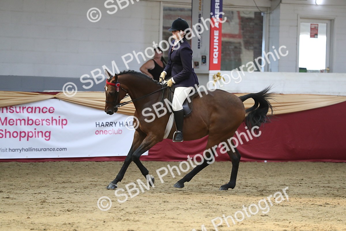 SBM_08383 - Class 11R Regional Ridden Veteran