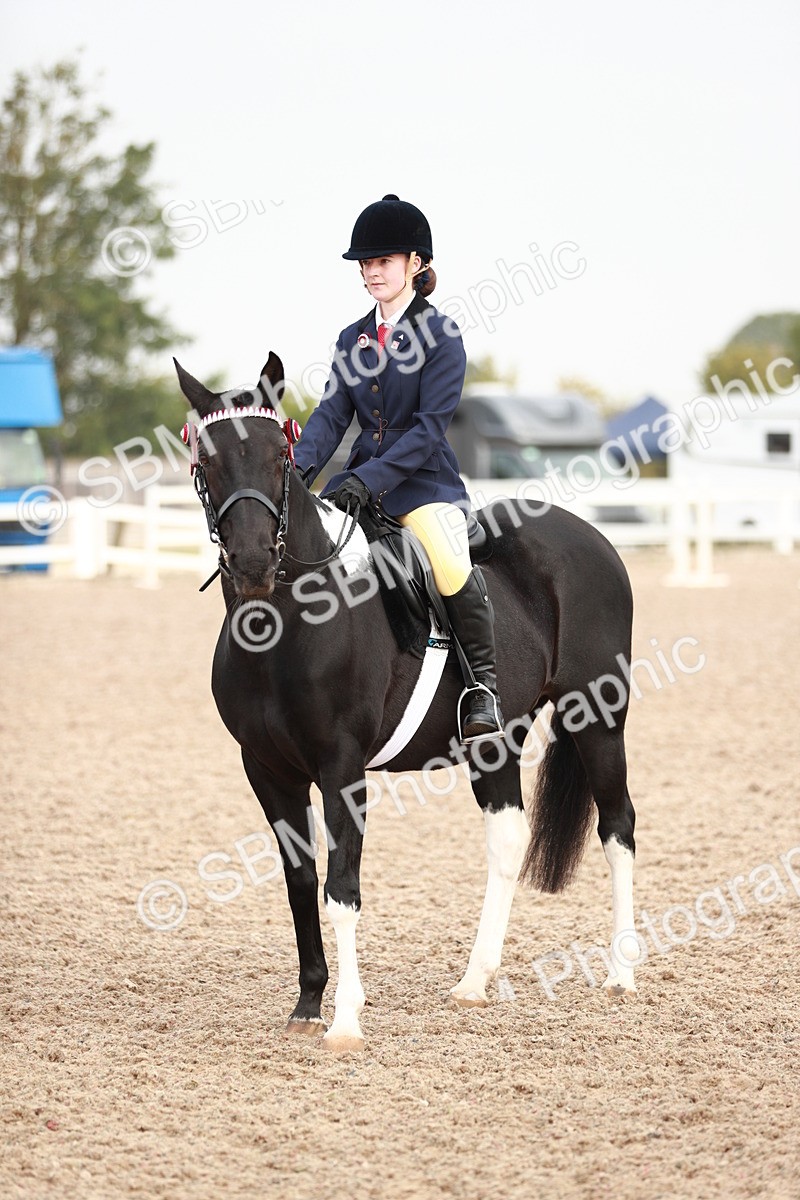 SBM_09419 - Class 202 Best Turned Out Ridden