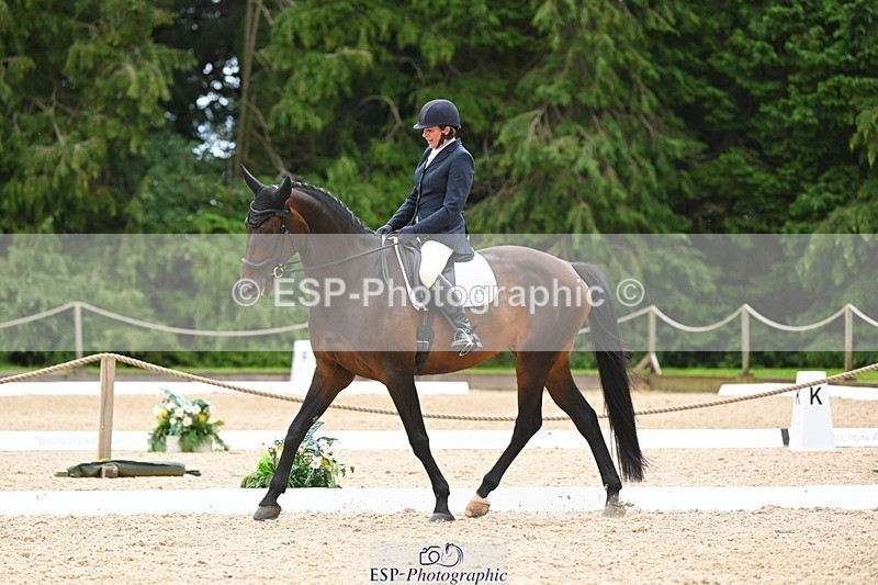 230813-143945-07812 - Cls 13 Medium Bronze 13.15 to End