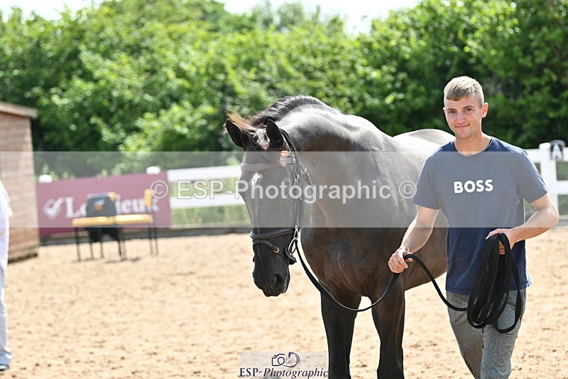 240717A-154426-03024 - Trot Up 3pm to 4pm