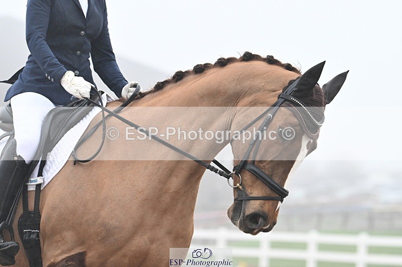 240217A-123645-02648 - 212-Victoria.Gawler-Scirocco