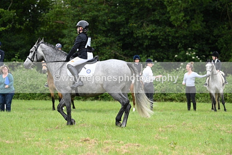 WJ7_3970 - Class 14A Handsome Gelding