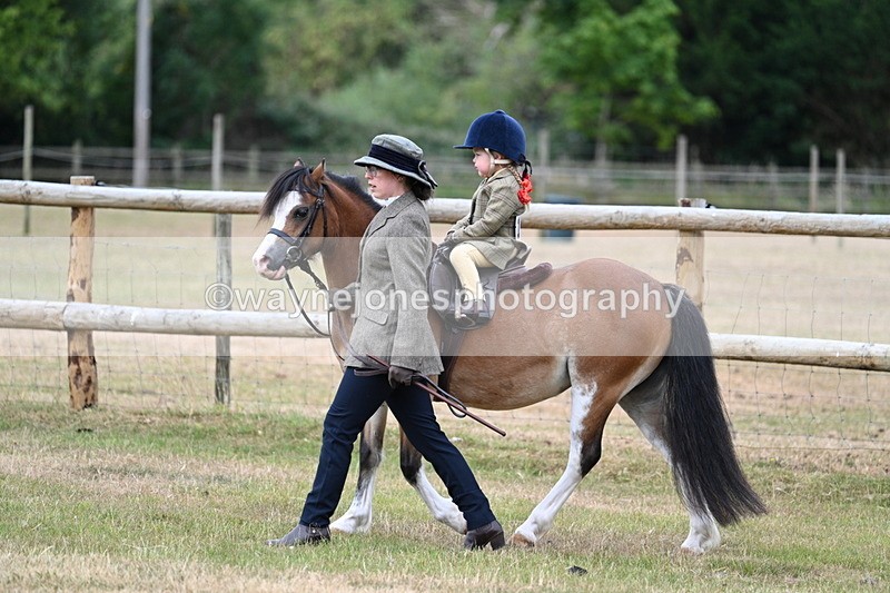 WJ7_9551 - Class 1 Lead Rein Pony