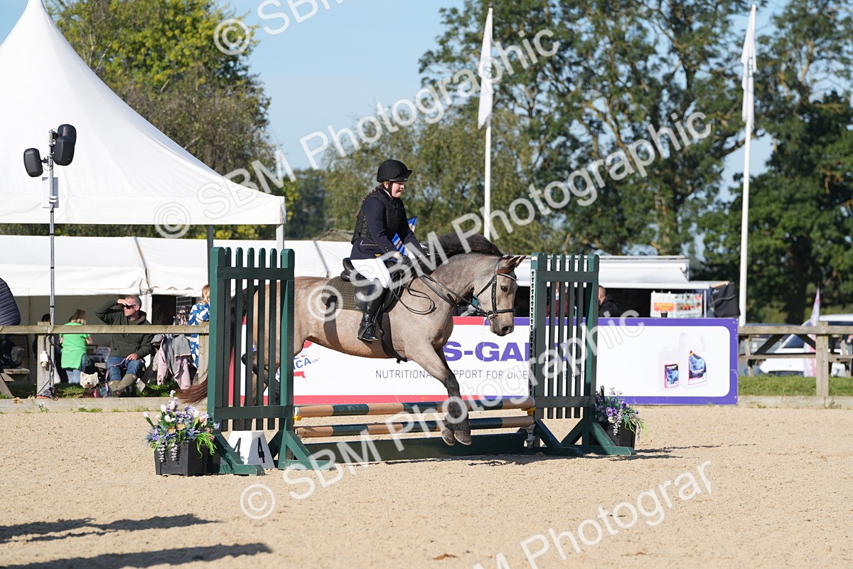 SBM_36135 - J 20 - Junior Horse 50cm Championship
