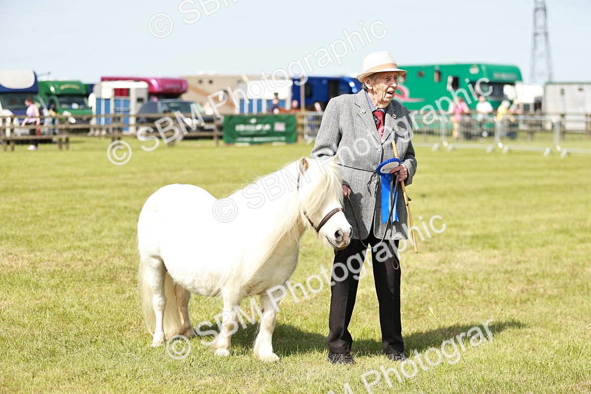 SBM_02027 - Class 14-23 - Mountain & Moorland In Hand Non Welsh