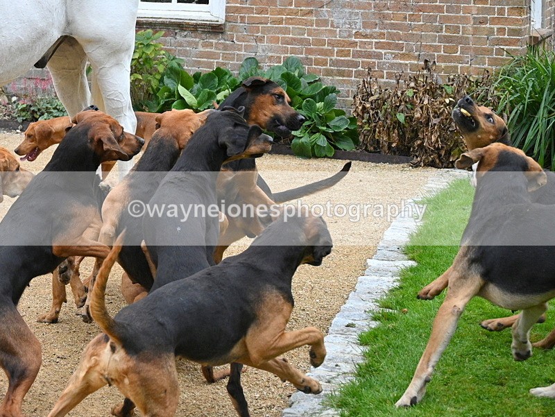 WJ7_6129 - Berks & Bucks - Children's Meet - The Old Farmhouse – Steventon.
