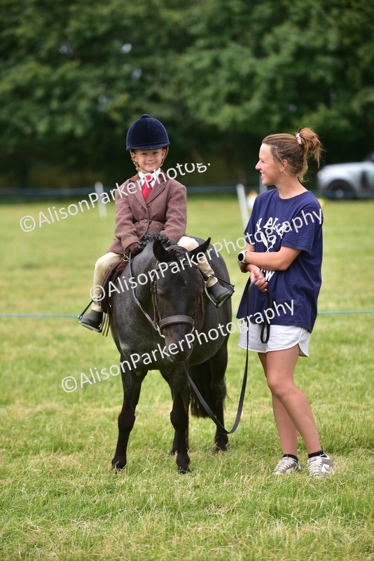 20260614-3706 - Class 15 - Prettiest Mare