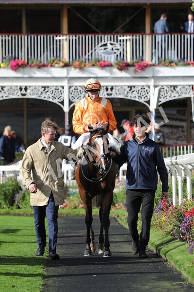 yr07102022r3-38 - Race 3 3.15pm British EBF £100,000 2yo Series Final (Colts and Geldings)