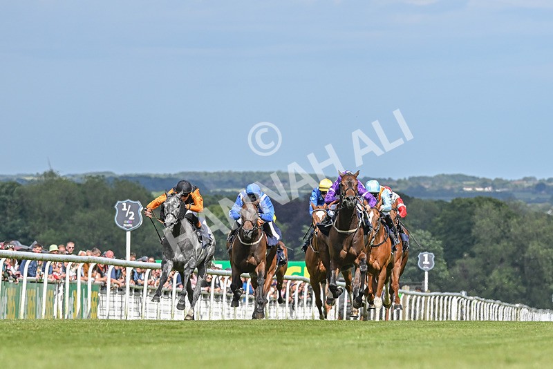 080624-Race 5-Ludos Landing-7427 - Race 5