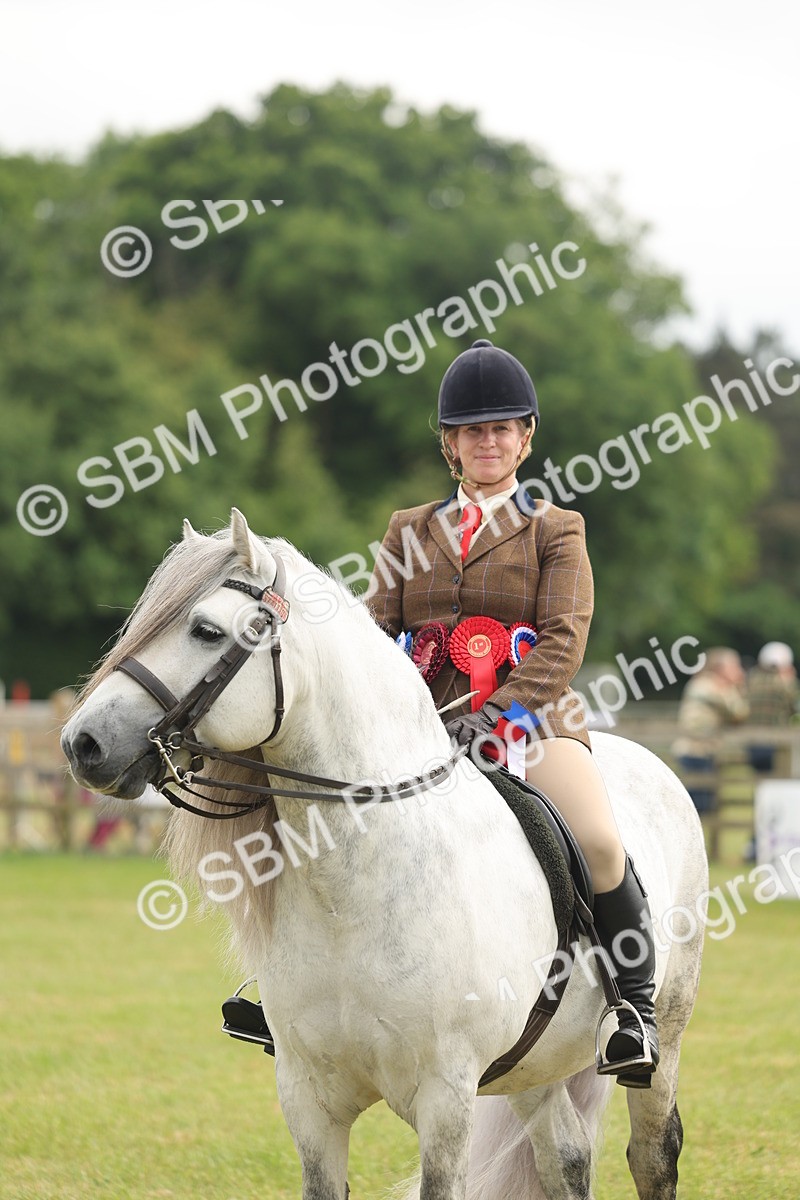 SBM_09163 - Class 78-80 - Ridden M&M Non Welsh Ponies