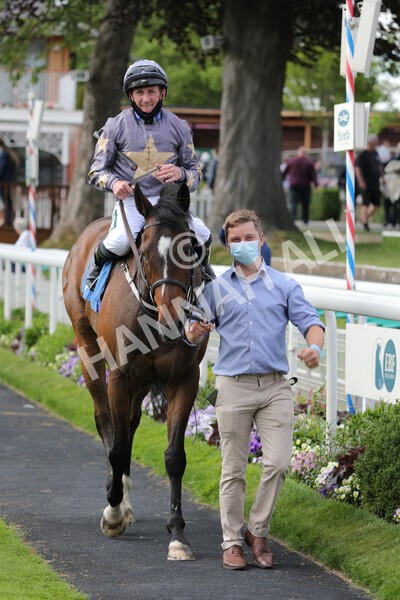 yr11062021r6-31 - Race 6 4.35pm Irish Thoroughbred Marketing Stakes