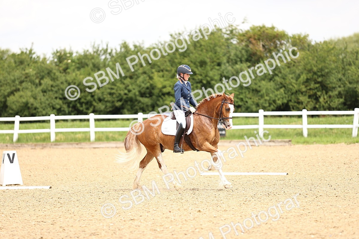 SBM_000917 - Class 4 - Novice 5
