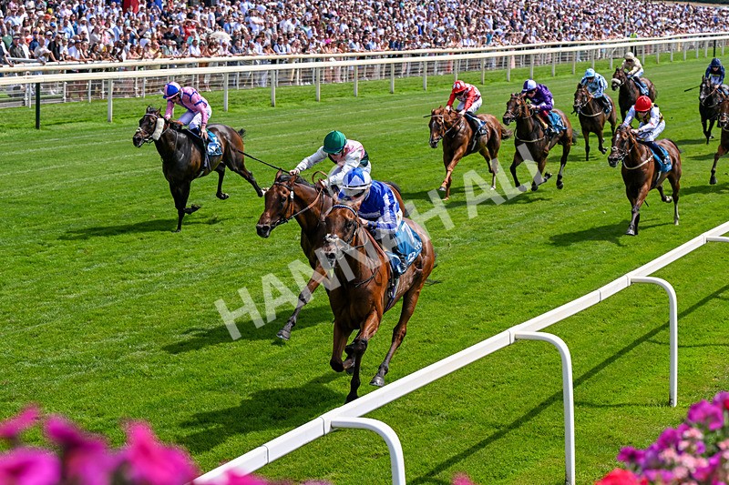 110726-Race 2-The Lost King-0141 - Race 2 14.39pm John Smith's Racing Handicap